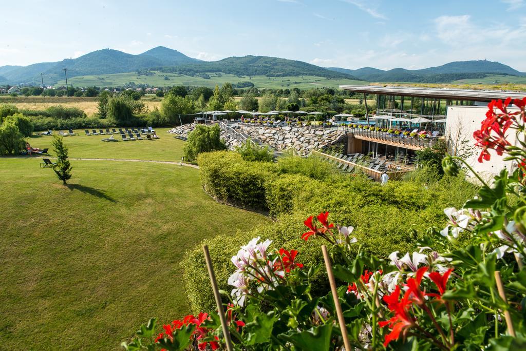 Hotel Barriere Ribeauville Exterior photo